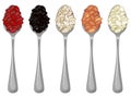 Set of spoons with beans on white background.