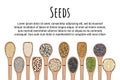 Set of spoons with seeds. Top view. Border food frame