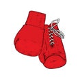 A set of sports equipment. Boxing gloves. Vector illustration.