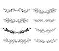 Set of sprigs with leaves. Collection of different borders with leaves on branches in outline style. Vector line art