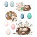 Set of spring bird nests and eggs with apple tree flowers, easter compositions