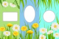 Set spring cards of floral flowers dandelions and daisies, chamomiles, grass backgrounds. Colorful spring vertical Royalty Free Stock Photo