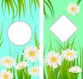 Set spring cards of floral flowers dandelions and daisies, chamomiles, grass backgrounds. Colorful spring vertical Royalty Free Stock Photo