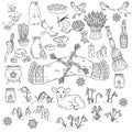 Set of spring doodles. Beginning of spring symbols. Imbolc wiccan holiday sketch doodles. Brigids cross, groundhog, snowdrops,