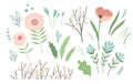 Set of spring floral design elements. Leaves, flowers, grass, branches Vector Royalty Free Stock Photo