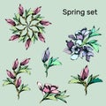 Set of spring flowers pink and purple on a white background. Ink sketch. Floral patterns. Vector illustration Royalty Free Stock Photo