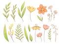 Set of spring herbs, plants and flowers. Imitation of handmade watercolor