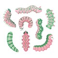 Set spring and summer colorful caterpillars. Pretty caterpillars different silhouette on white background. For festive
