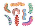 Set spring and summer colorful caterpillars. Pretty caterpillars different silhouette on white background. For festive