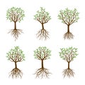 Set of Spring Trees with Roots.