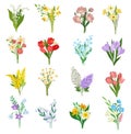 Set of spring wild and garden flowers. Crocus, tulip, mimosa, lily of the valley, lilac and daffodil cartoon vector