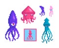 A set of squid in pixel art style. Sea characters different forms and sizes
