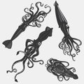 Set of squid tattoo or calamary mascot, mollusk