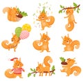 Set Of Cute Red Squirrel In Different Actions. Isolated cartoon Vector Illustrations On White Background.