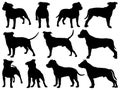 Set of Staffordshire Bull Terrier Dog silhouette vector art Royalty Free Stock Photo