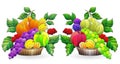 Stained glass illustration with  abstract fruit still lifes, bright fruits and berries isolated on a white background Royalty Free Stock Photo