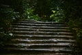 Dark ruined old stone staircase overgrown with impenetrable green bushes Royalty Free Stock Photo