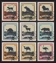 Set of stamps with different animals