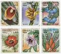 Set of stamps with flowers Royalty Free Stock Photo