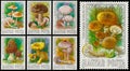 Set of stamps printed in Hungary shows edible mushrooms Royalty Free Stock Photo