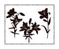 Set of stencils of lily flowers on a stem with leaves. Black outline on white background