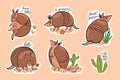 A set of stickers with cute armadillos and inscriptions. Vector graphics