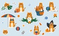 Set of stickers with cute tiger character Royalty Free Stock Photo