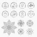 Set of stickers and elements for natural products, beauty and cosmetics Royalty Free Stock Photo