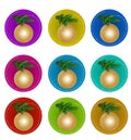 Set of stickers with a golden Christmas ball on a fir branch. Isolated on a white background Royalty Free Stock Photo