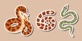 Set of stickers with hand drawn different snakes for planners, notebooks. Ready for print list of stickers. Hand drawn Royalty Free Stock Photo