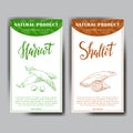 Set of stickers with hand drawn vegetarian illustration. Vegetable harricot and shallot elements. Vector sketch for card