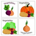 Set of stickers and labels of fresh vegetables. It can be used f