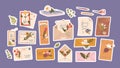 Set Of Stickers Letters And Envelopes Adorned With Delicate, Colorful Flowers Add A Touch Of Charm And Elegance