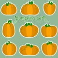 A set of stickers of nine pumpkin in a white stroke. Vegetable symbols of various shapes in a cartoon style. Vector illustration,