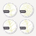 Set of stickers for package design with oregano, tarragon, savory, cilantro