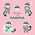 Set stickers with raccoon. Collection patches in style cartoon.