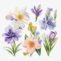 a set of stickers from a variety of blue and lilac delicate spring flowers