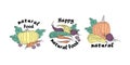 Set of stickers of vegetables drawn with live line