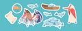 Set of Stickers Wonderful Catch Biblical Theme. h Jesus and Apostle Characters Caught A Large Amount Of Fish with Net