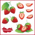 Set of strawberry fruit illustration with leaf in slice, half, w Royalty Free Stock Photo