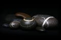 Set of striped rocks pebbles on black background