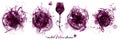 Set with strokes backgrounds and red wine stains. Artistic graphic resource for your wine designs