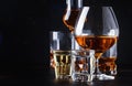 Set of strong alcoholic drinks in glasses and shot glass in assortent: vodka, rum, cognac, tequila, brandy and whiskey. Dark