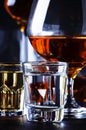 Set of strong alcoholic drinks in glasses and shot glass in assortent: vodka, rum, cognac, tequila, brandy and whiskey. Dark