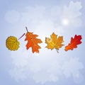 A set of stylized autumn leaves with black outline.