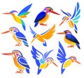 Stylized Birds - African Pygmy Kingfisher Royalty Free Stock Photo
