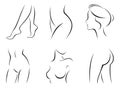 Set of stylized body parts Royalty Free Stock Photo