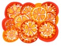 Set of stylized citrus fruits forming a pattern. Isolated on white background. Royalty Free Stock Photo