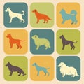 Set of stylized colored icons of dog breeds