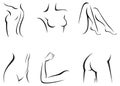 Set stylized female body parts